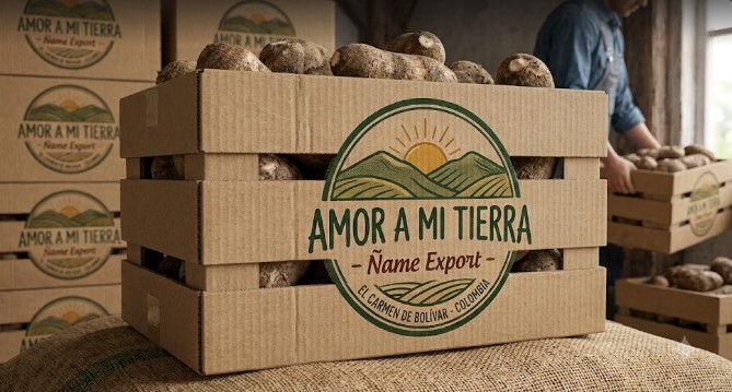 Ñame Export Box